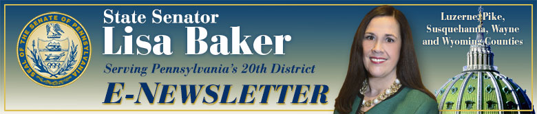 State Senator Lisa Baker ENews